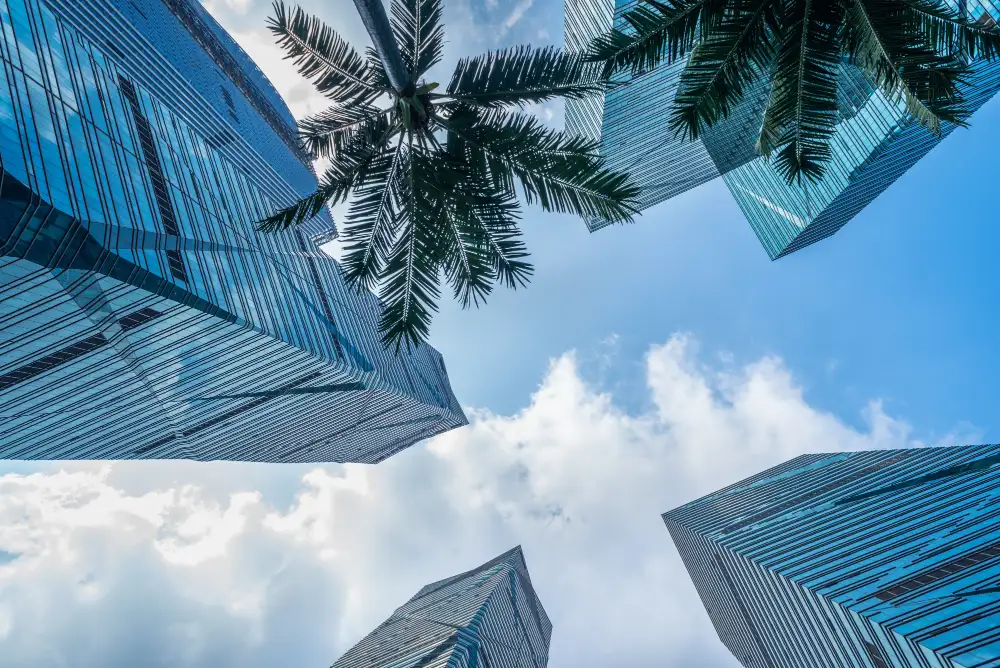 Real estate investment in Dubai